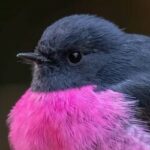 Profile picture of Mel Ting