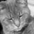 Profile picture of Amy